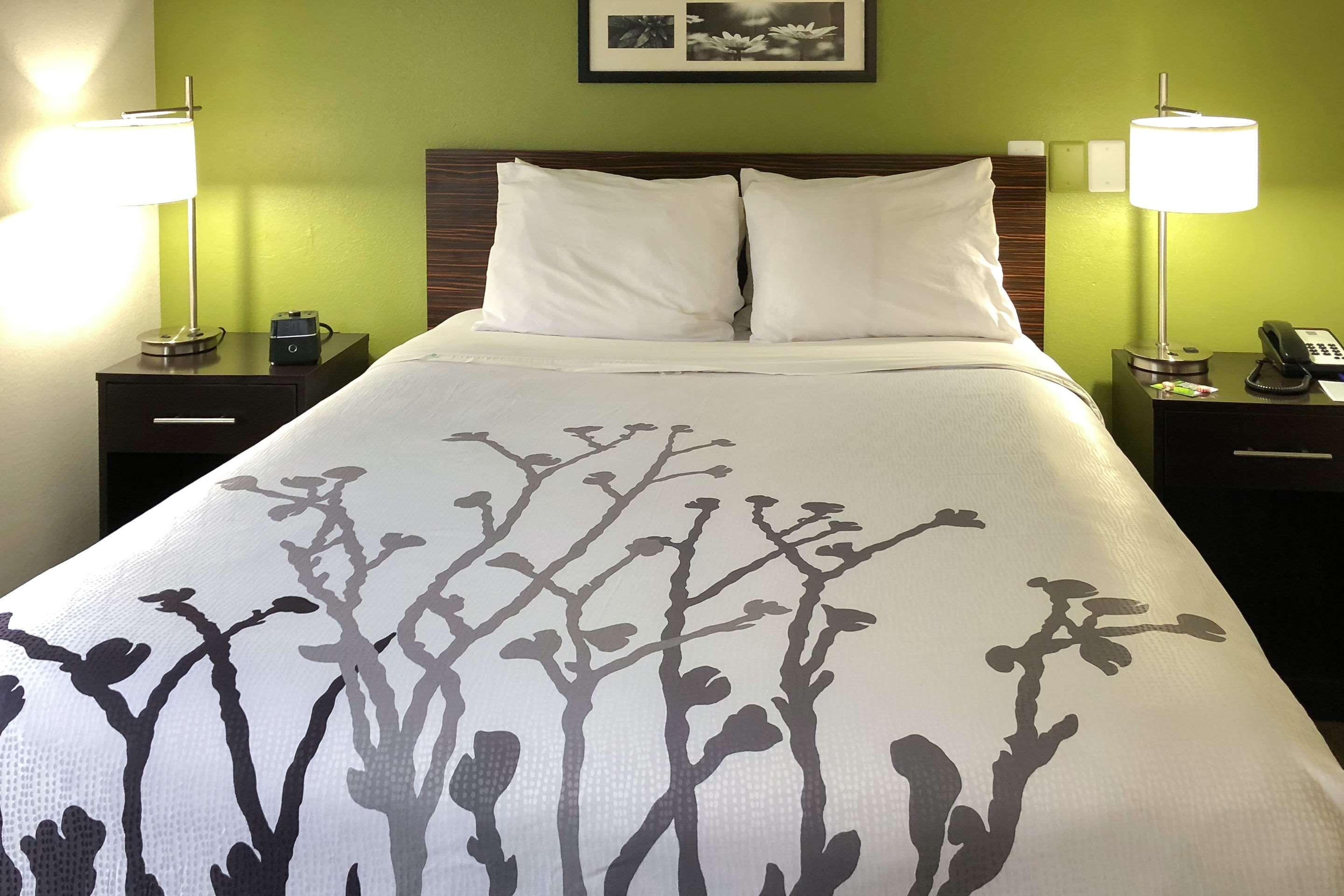 Sleep Inn McDonough Buitenkant foto